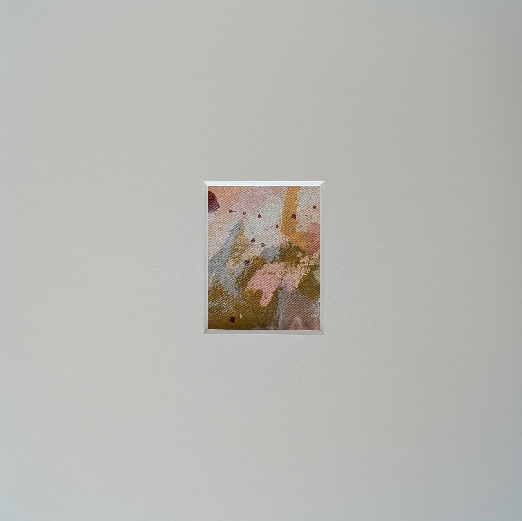 anima collection no. 11