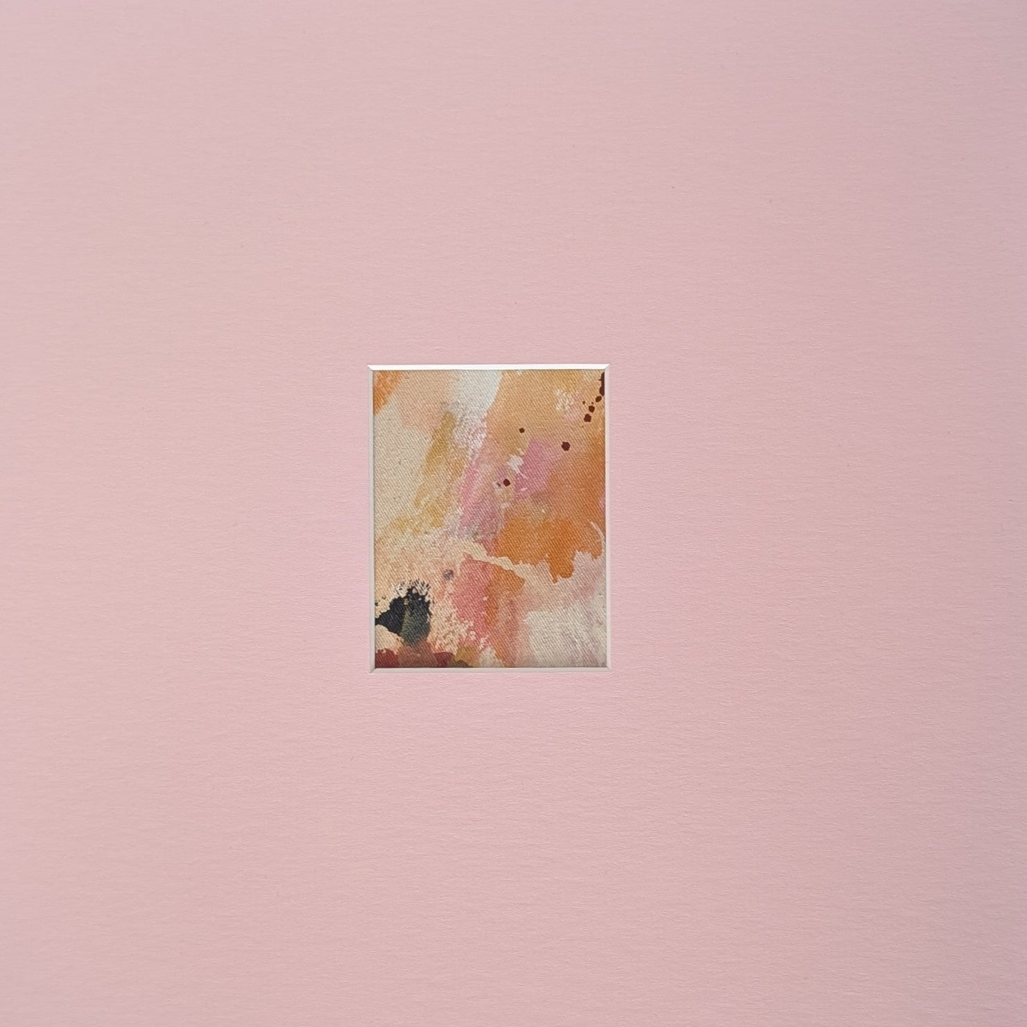 anima collection no. 1