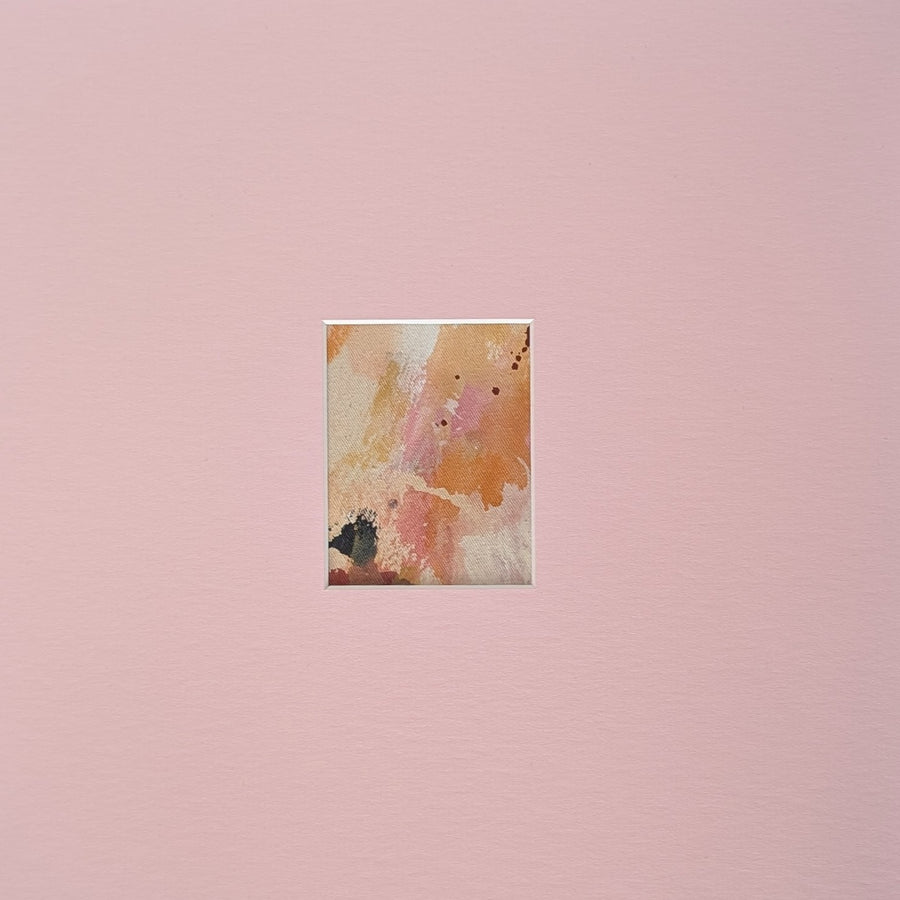 anima collection no. 1